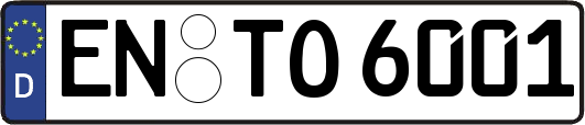 EN-TO6001
