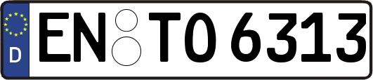EN-TO6313