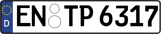 EN-TP6317