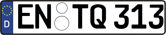 EN-TQ313
