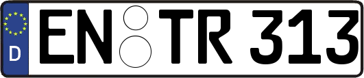 EN-TR313