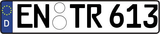 EN-TR613