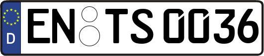 EN-TS0036