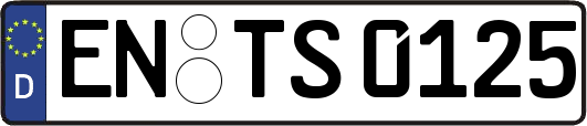 EN-TS0125