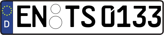 EN-TS0133
