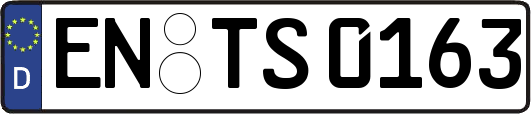 EN-TS0163