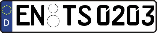 EN-TS0203