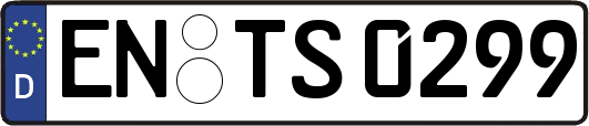 EN-TS0299