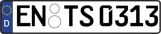 EN-TS0313