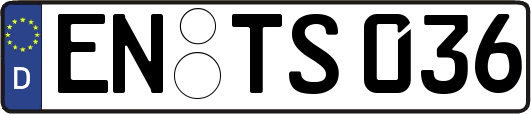 EN-TS036