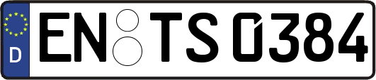 EN-TS0384