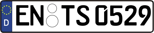 EN-TS0529