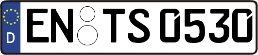 EN-TS0530