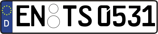 EN-TS0531