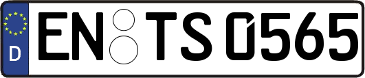 EN-TS0565