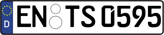 EN-TS0595