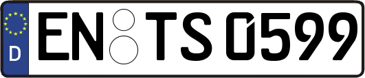 EN-TS0599