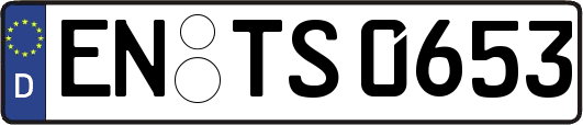 EN-TS0653