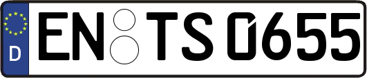 EN-TS0655