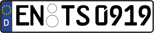 EN-TS0919