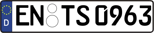 EN-TS0963