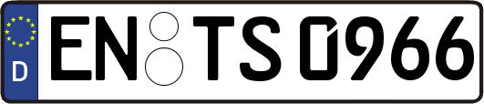 EN-TS0966