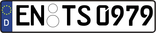 EN-TS0979