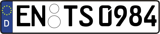 EN-TS0984