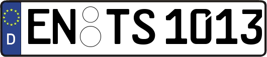 EN-TS1013
