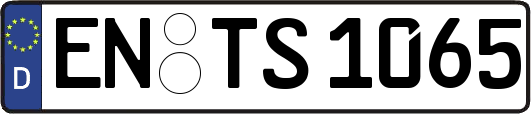 EN-TS1065
