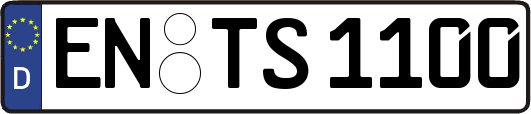 EN-TS1100