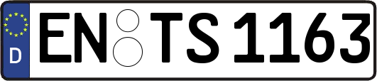 EN-TS1163
