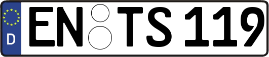 EN-TS119