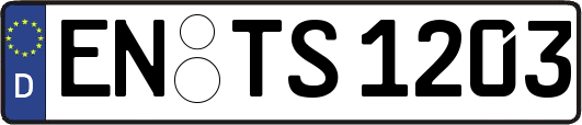 EN-TS1203