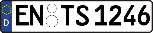 EN-TS1246