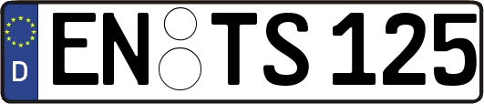 EN-TS125
