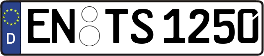 EN-TS1250