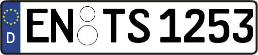 EN-TS1253