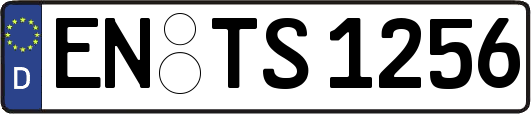 EN-TS1256