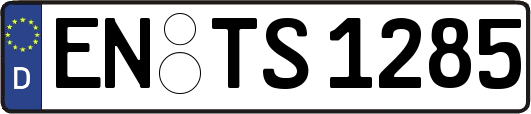 EN-TS1285
