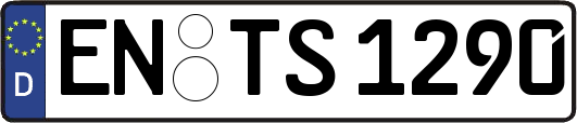 EN-TS1290