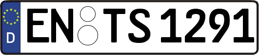 EN-TS1291
