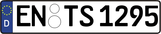 EN-TS1295