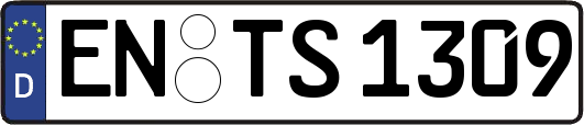 EN-TS1309