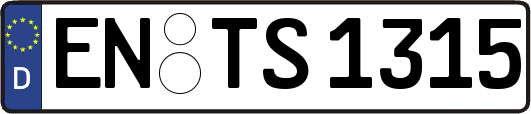 EN-TS1315