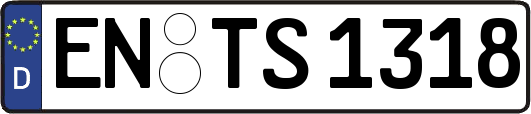 EN-TS1318