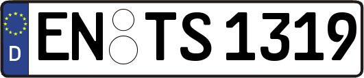 EN-TS1319