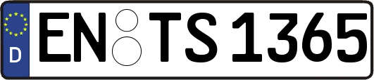EN-TS1365