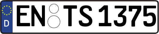 EN-TS1375