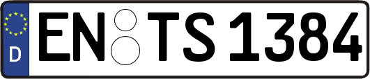 EN-TS1384